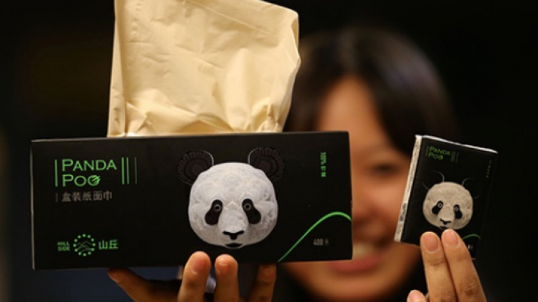创新 | 天然竹纤维环保厕纸，熊猫便便出品