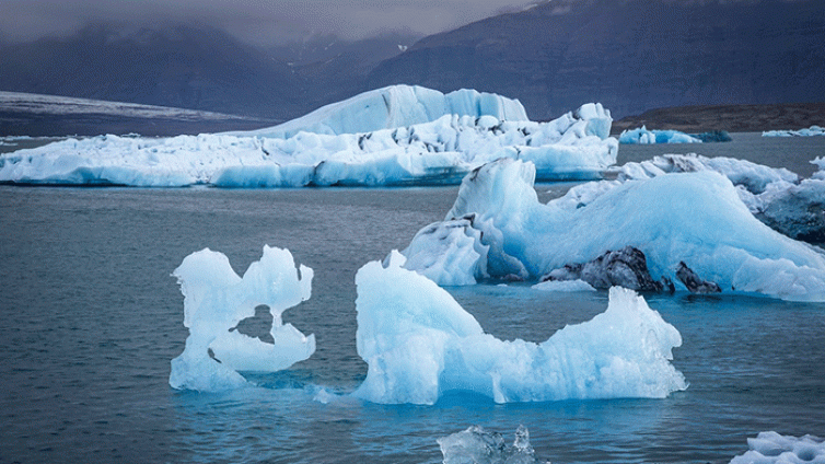 环境丨极地游持续走热 游客登陆让南极半岛成南极生态最脆弱地方