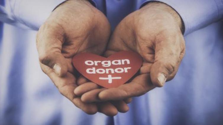 记录 | 中国器官捐献志愿登记人数逾99万 实现捐献2万余例