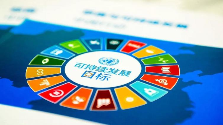 联合国发布可持续发展目标四年成绩单