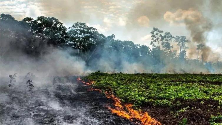 亚马逊雨林不仅被烧，也正在被我们一口一口吃掉......